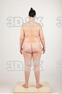 Body texture of Gevana 0010